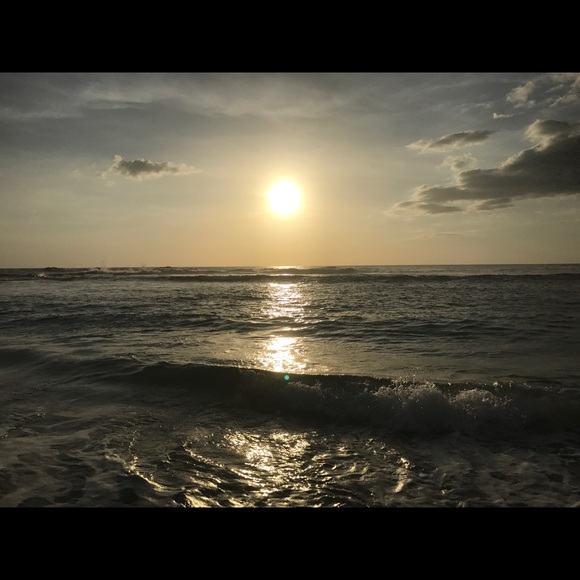 Meet your Posher, Dorothy - Picture 1 of 1